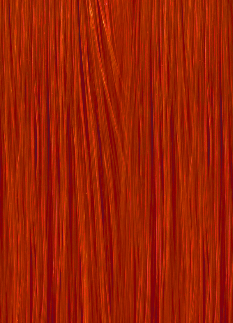 ORANGE.BOOSTER image number 0