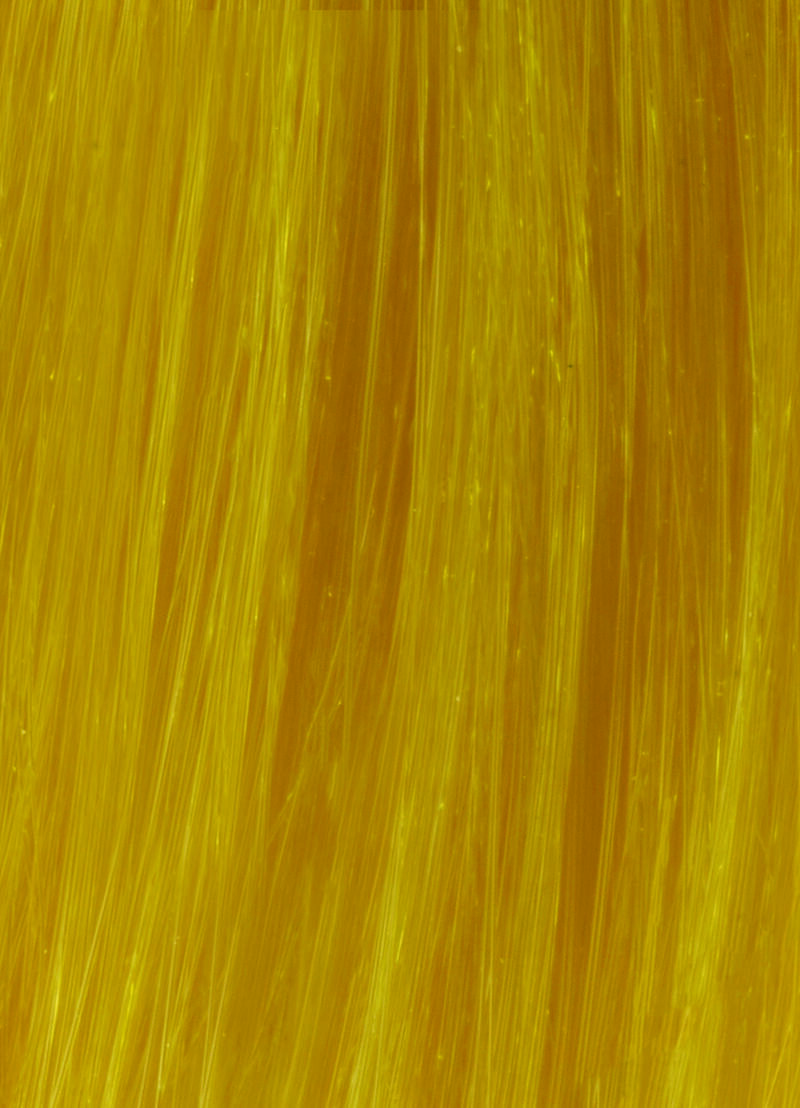 YELLOW image number 0